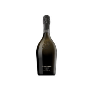 Valdobbiadene DOCG DRY Eroico Andreola Vigna Ochera